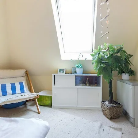 Ferienwohnung-casa-del-sol شقة
